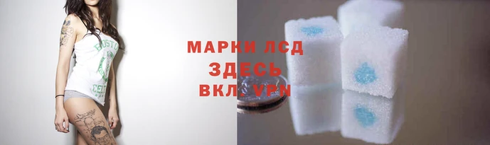 a pvp Алзамай