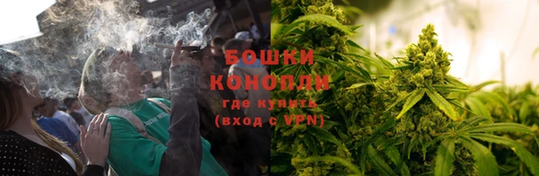 каннабис Алексеевка