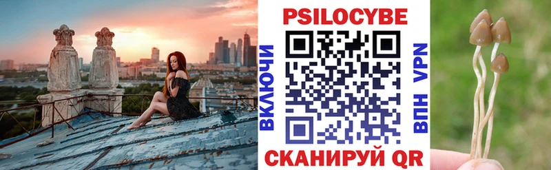 Купить где Чишмы Псилоцибиновые грибы мухоморы
